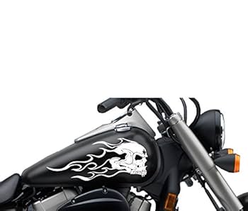 Amazon.com: FGD Motorcycle Flaming Fanged Skull Gas Tank